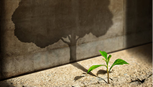 Surety_2.13.25_Start Up